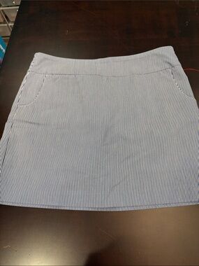 Striped Navy and White Mini Skirt - Classic Tailored Fit